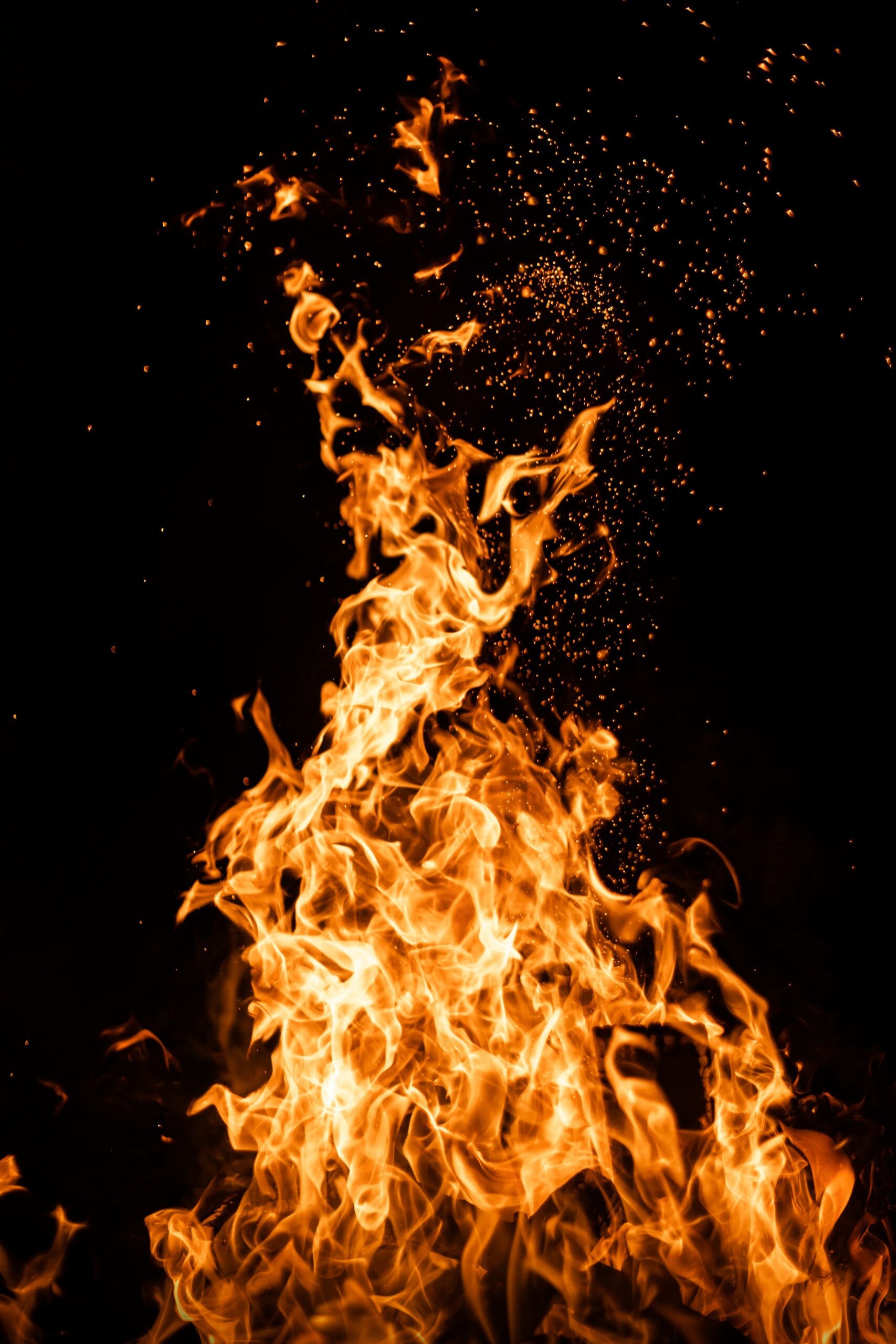 Photo by Tobias Rademacher on Unsplash